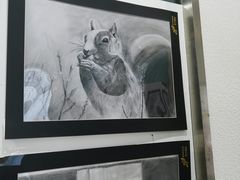 -缤纷鸟美术书法(交大校区)