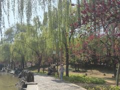 -洛阳市隋唐城遗址植物园