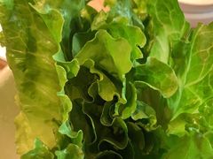 -额尔敦牛厨师铜板烧