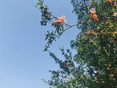 -澹台湖公园