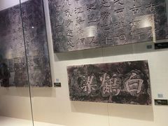 -白鹤梁水下博物馆