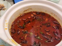 -蜀腾川·火锅鱼.烤鱼(新世界城店)