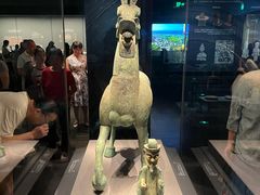 -广西壮族自治区博物馆