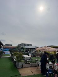 -小蜜蜂农场(凯德七宝购物广场店)