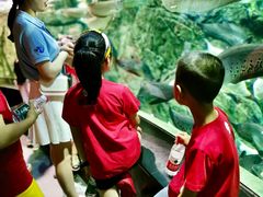 -成都浩海立方海洋公园