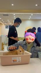 -Moni星球萌宠·小马宝莉·灵蛇·高端高阶全萌宠互动体验俱乐部(红豆国际广场店)