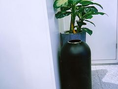 -CoCo都可(崇川万象城店)
