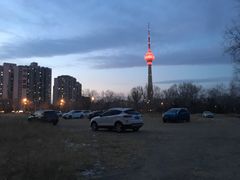 -中国宋庆龄青少年科技文化交流中心