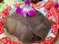 -楠火锅(仁恒梦中心店)