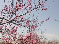 -星巴克(西湖天地店)