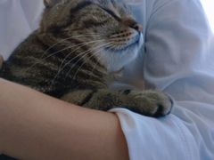 酸菜-Catmate·猫肥家润(金润铂宫店)