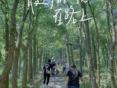 -雨花胜境