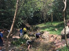 -火炉山森林公园