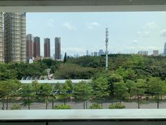 -百年果林椰子鸡(中洲店)