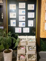 -保丽宝泰母婴护理院·月子中心·产康·中医(常州店)