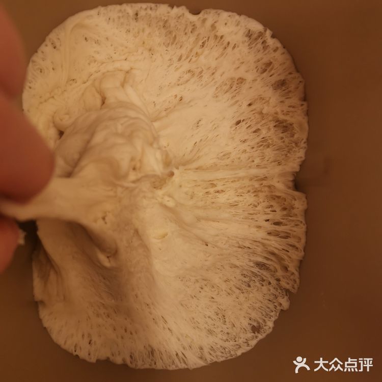 食谱| 超蓬松小包子