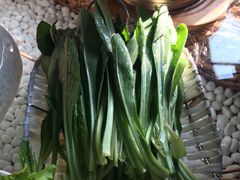 -慢丽江·云南野生菌土鸡锅(付家庄店)