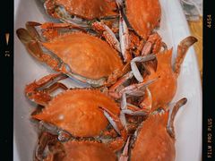 梭子蟹-杏花村大酒店(延寿路店)