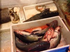 乌江鱼-王老六铁锅炖鱼(长春路店)