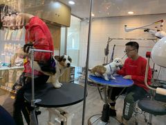 -PETKIT小佩宠物(古北店)