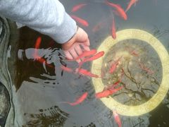 亦缘居私家别院-亦缘居私家别院