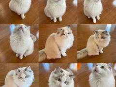 -黑皮酸菜鱼(绣花巷店)