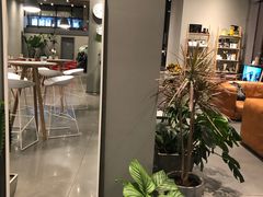 -dotcom coffee古点咖啡(致真大厦店)