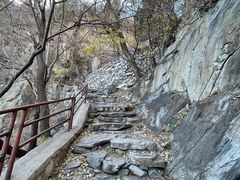 -北京鹫峰国家森林公园