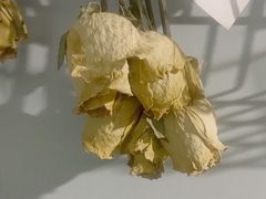 -迦南·甜品蛋糕(传媒店)
