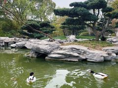 -扬州瘦西湖温泉