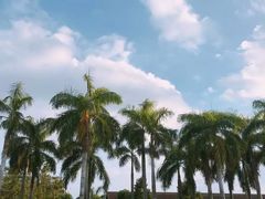 -呀诺达热带雨林