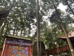 -都江堰普照寺