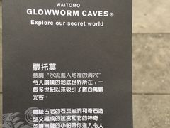 -怀托摩萤火虫洞