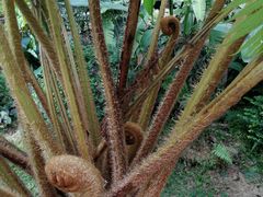 -营记牛肉火锅·大埔客家菜(上梅林店)