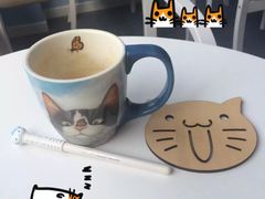 -喵的天空名猫咖啡馆·撸猫·猫舍·用品