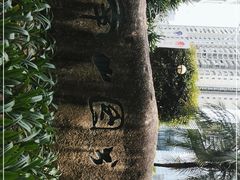 -南山图书馆(常兴路店)