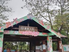 -大湾区中央湿地公园
