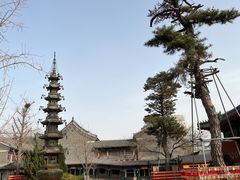 -天津大悲禅院