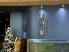 -黄晓猫剁椒大鱼头(海岸城店)