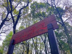 -岳麓山风景名胜区