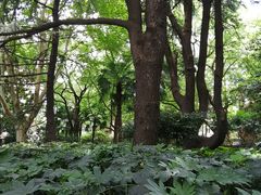 -华山儿童公园