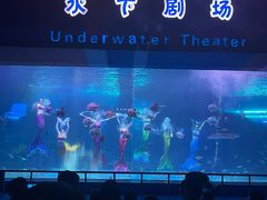 -泉城欧乐堡海洋极地世界