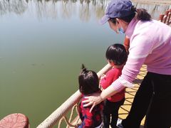 -东郊湿地公园