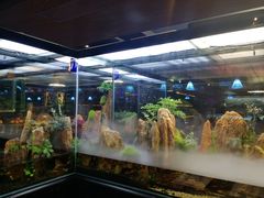 -泰谷酒店·太古码头闽菜自助餐厅