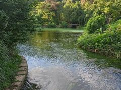 -花溪公园