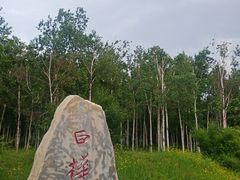 -长春市南湖公园