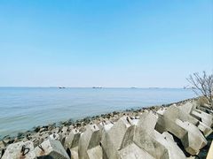-上海滨江森林公园