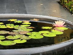 -上海青龙寺