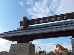 -淄博花灯齐彩城