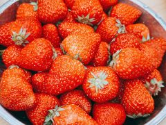 -北京大学-燕南食堂